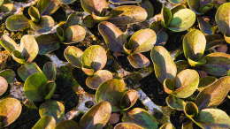 IMG_3855700saaaaaaaaaaaa