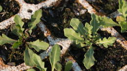 IMG_3856700saaaaaaaaaaaa